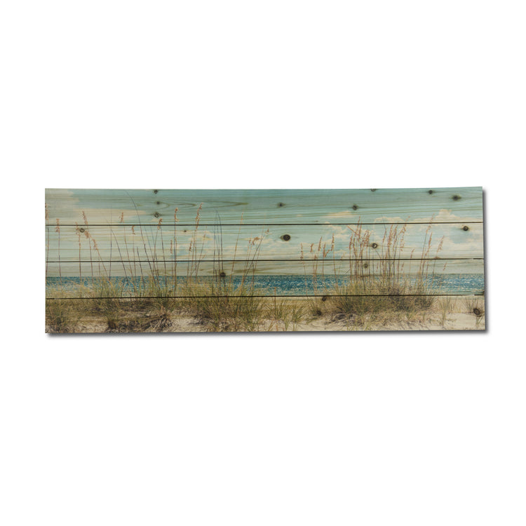 "Sand Dunes Long" Print on Planked Wood Wall Art