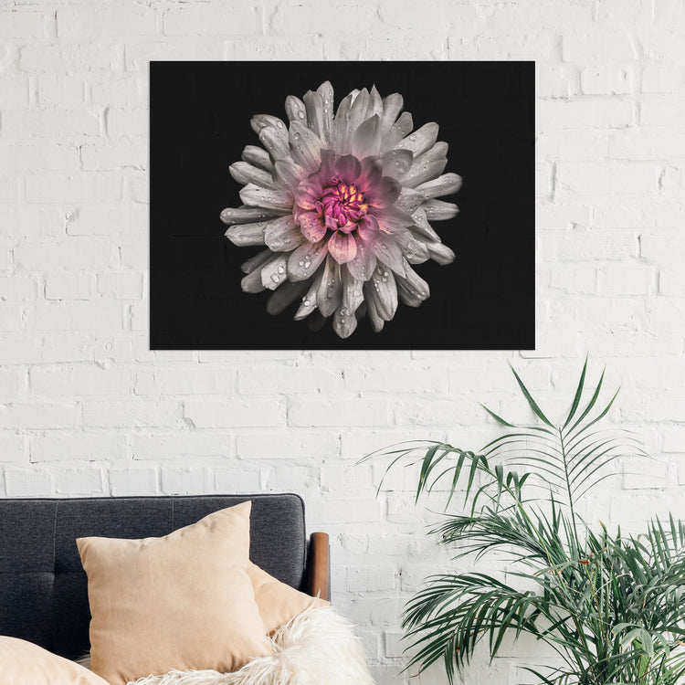 "Backyard Flower #2" 18x24 Inch Print on Canvas Wall Art