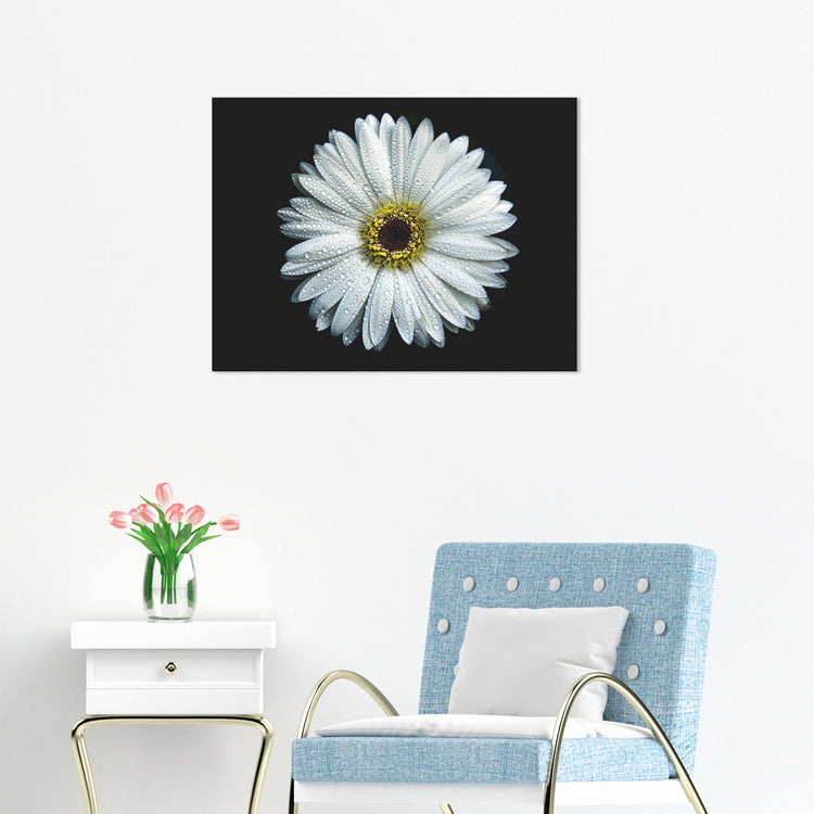 "Backyard Flower #6" 18x24 Inch Print on Canvas Wall Art