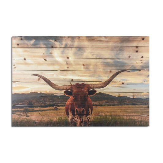 "Longhorn Cow in Field" Photograph Print on Planked Wood Wall Art
