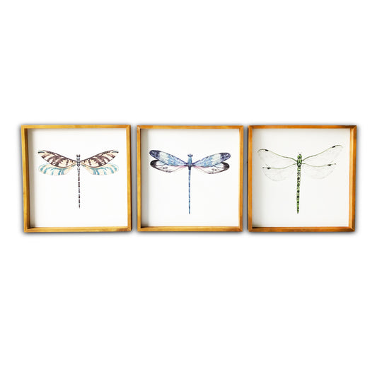 "Dragonflies" 3 Piece Watercolor Print on Pine Wood Framed Canvas Wall Art
