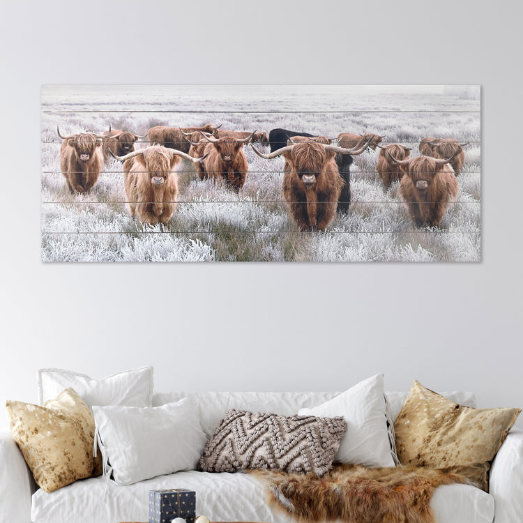 "Highland Herd" Photograph Print on Planked Wood Wall Art