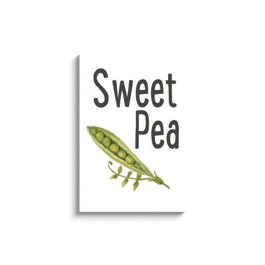 "Sweet Pea" 24x36 Inch Print on Canvas Wall Art