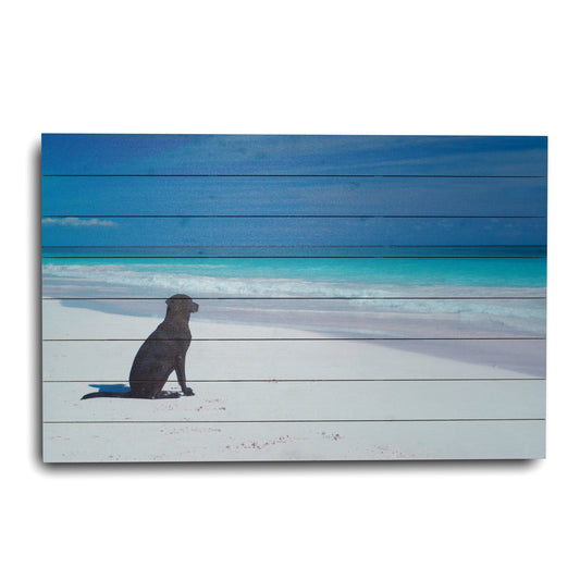 "Dog on Beach" Photograph Print on Planked Wood Wall Art